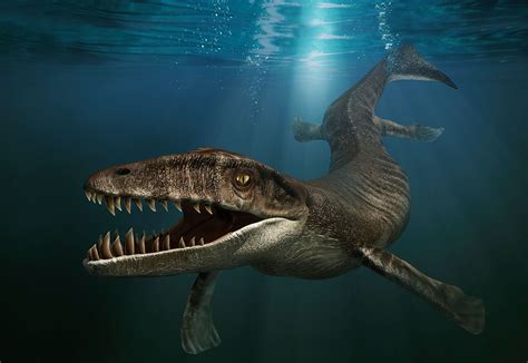  _Vexillifera_ -  Un piccolo dinosauro marino primitivo che si aggira per il fondo degli oceani!