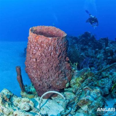  Yellow Barrel Sponge: A Brightly Colored Beacon Hiding in Plain Sight! This vibrant, barrel-shaped sponge often goes unnoticed amidst coral reefs and rocky shores, but its unique characteristics make it a fascinating creature worth exploring.